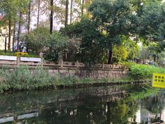 -兰溪青年公园