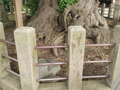 -医王山·飞騨国分寺