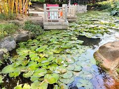 -晓港公园