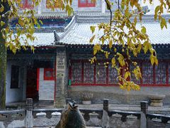 -西安大兴善寺