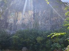 -西双版纳原始森林公园