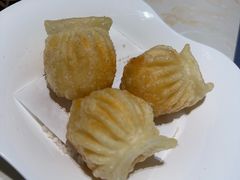 -点都德·毕德寮