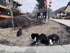 -六鼎山文化旅游区