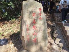 -紫金山山顶公园