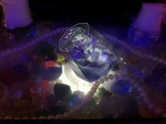 -GIA CARAT BAR 克拉概念店