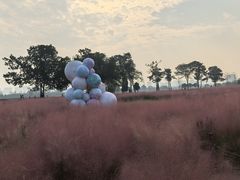 -汉长安城未央宫国家考古遗址公园