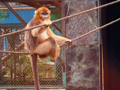 -西安秦岭野生动物园