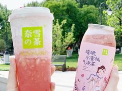 -奈雪的茶(天河城店)