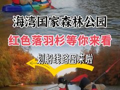 -上海海湾国家森林公园