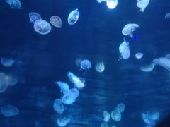 -杭州海底世界