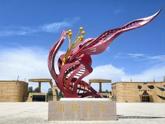 -金塔沙漠胡杨林景区