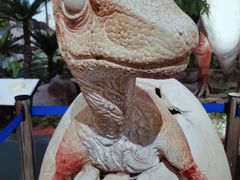 -湖南省地质博物馆