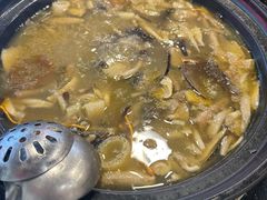 -草墩罗非鱼庄•野生菌•腊排骨(七星街上段店)