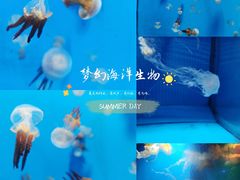 -泉城欧乐堡水上世界