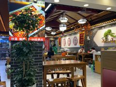 -秦君宝手擀菠菜面(金花路店)