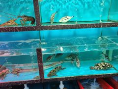 水产区-老明馨潮汕大排档