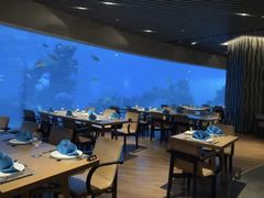 大堂-海棠湾洲际-涛·海底餐厅·美人鱼·自助餐·海底隧道