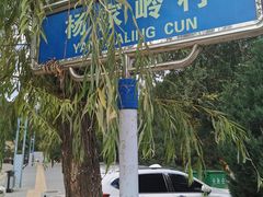 -延安杨家岭革命旧址