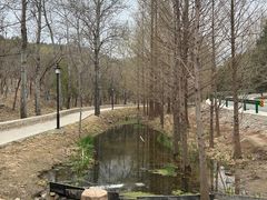 -白水寺森林公园