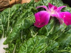 -千牛将·鲜牛肉火锅(开元路店)