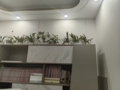 -清雅诗韵丽人产后恢复(回龙观店)