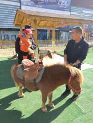 -萌宠亲子动物乐园(槐房万达店)