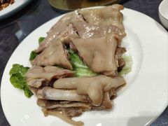 -丁老爷子苏香圆