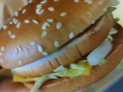 -麦当劳(金平路站店)