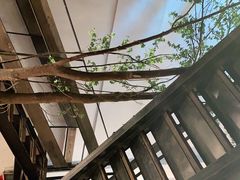 -蜜桃餐厅·伴山(湖滨商业街店)