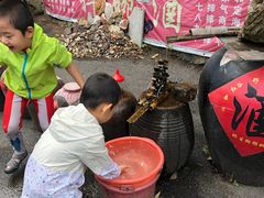 -内乡宝天曼生态旅游区