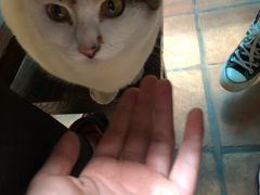 -老宅原住民沙茶面精品小吃(龙头路店)