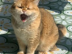 -渝蛙馆(新百店)