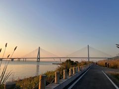 -芒洲湿地公园