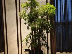 -阿纳迪酒店·秘境西餐厅