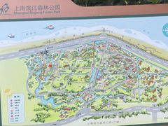 -上海滨江森林公园