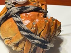 -京和日法料理(枫林街店)