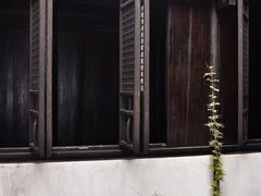 -乌镇东栅景区-茅盾故居