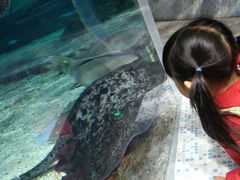 -绍兴梦享海洋公园