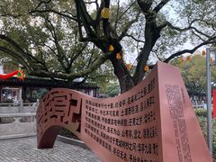 -安亭老街