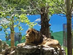 -秦皇岛野生动物园
