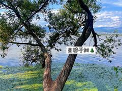 -西昌邛海湿地
