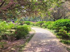 -洛阳市隋唐城遗址植物园
