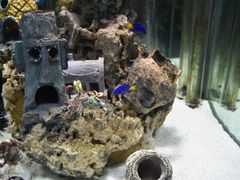 -太平洋海底世界