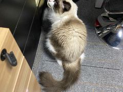 -零纪元VR体验馆·桌游(黄浦店)