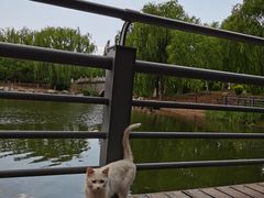 -大兴滨河森林公园