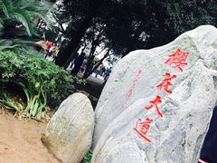 -武汉大学-樱园