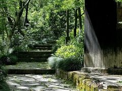 -杭州半山国家森林公园