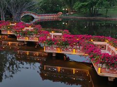 -深圳龙潭公园