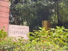 -蒋家肠旺面馆(合群路店)