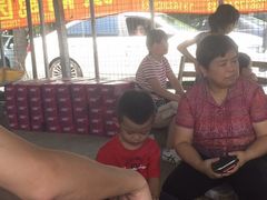 -马陆小张葡萄园农家乐